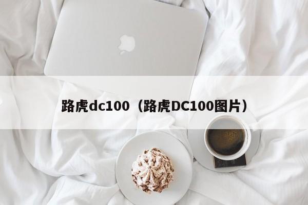 路虎dc100（路虎DC100图片）