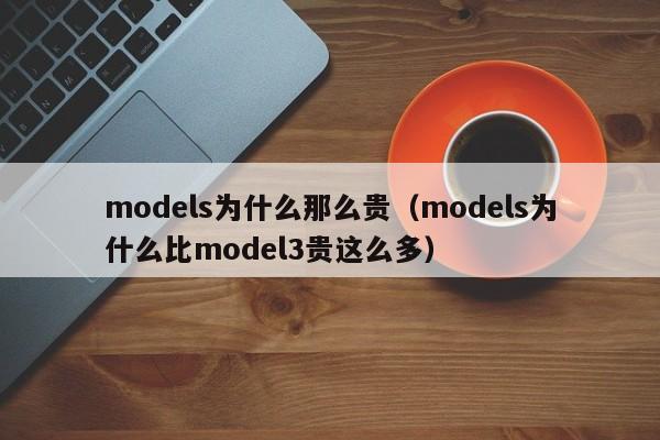 models为什么那么贵（models为什么比model3贵这么多）