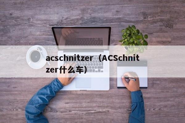 acschnitzer（ACSchnitzer什么车）