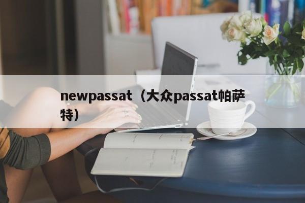 newpassat（大众passat帕萨特）