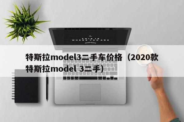 特斯拉model3二手车价格（2020款特斯拉model 3二手）