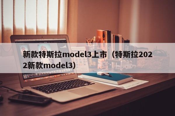 新款特斯拉model3上市（特斯拉2022新款model3）