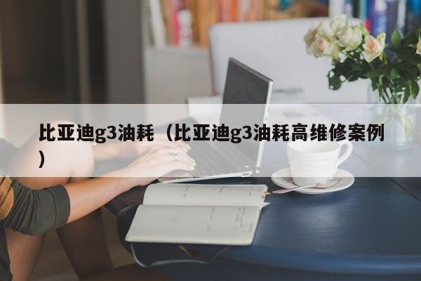 比亚迪g3油耗（比亚迪g3油耗高维修案例）