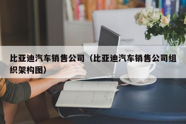 比亚迪汽车销售公司（比亚迪汽车销售公司组织架构图）