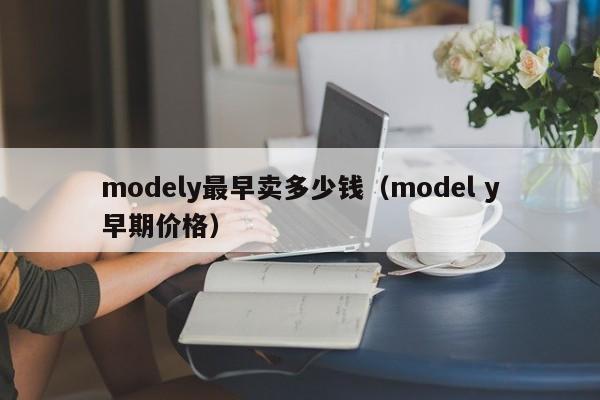 modely最早卖多少钱（model y早期价格）