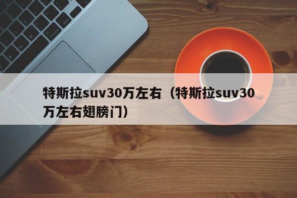 特斯拉suv30万左右（特斯拉suv30万左右翅膀门）
