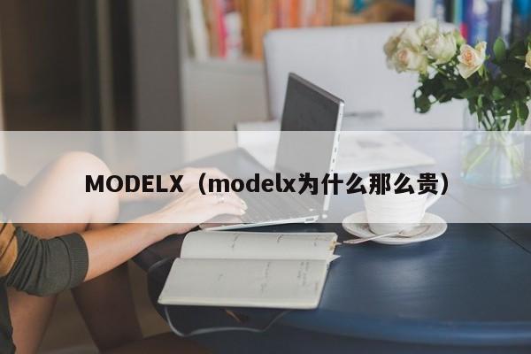 MODELX（modelx为什么那么贵）