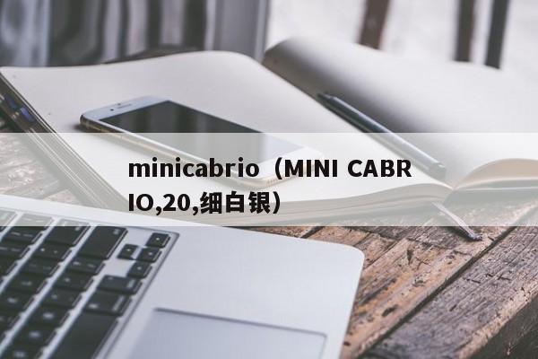 minicabrio（MINI CABRIO,20,细白银）