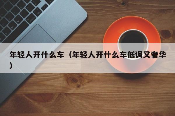 年轻人开什么车（年轻人开什么车低调又奢华）