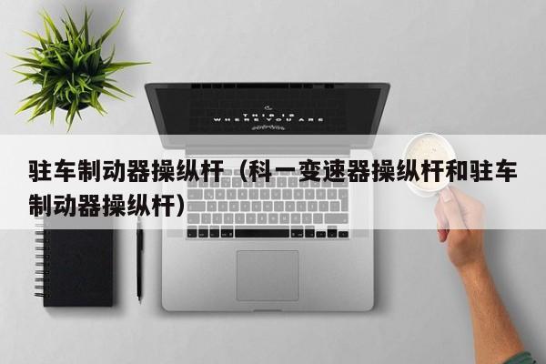 驻车制动器操纵杆（科一变速器操纵杆和驻车制动器操纵杆）