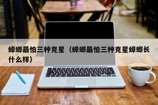 蟑螂最怕三种克星（蟑螂最怕三种克星蟑螂长什么样）