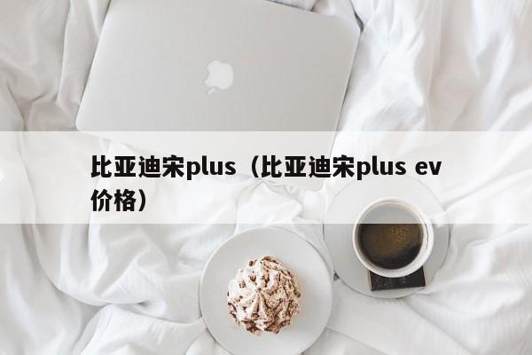 比亚迪宋plus（比亚迪宋plus ev价格）