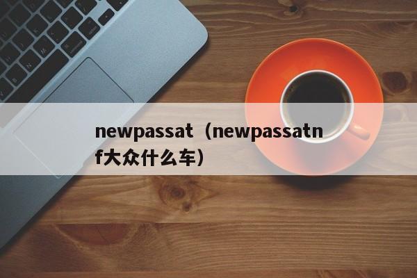 newpassat（newpassatnf大众什么车）