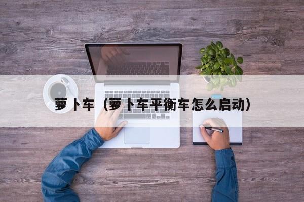 萝卜车（萝卜车平衡车怎么启动）