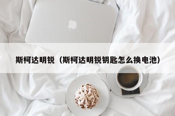 斯柯达明锐（斯柯达明锐钥匙怎么换电池）