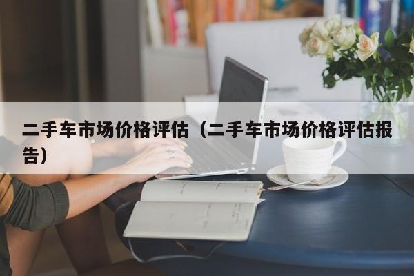 二手车市场价格评估（二手车市场价格评估报告）