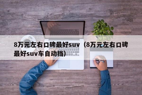 8万元左右口碑最好suv（8万元左右口碑最好suv车自动挡）