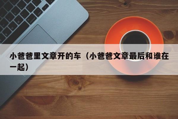 小爸爸里文章开的车（小爸爸文章最后和谁在一起）