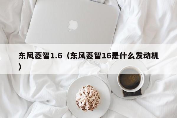 东风菱智1.6（东风菱智16是什么发动机）