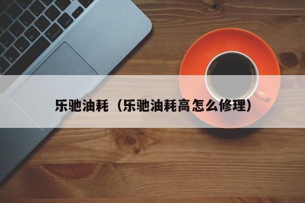 乐驰油耗（乐驰油耗高怎么修理）