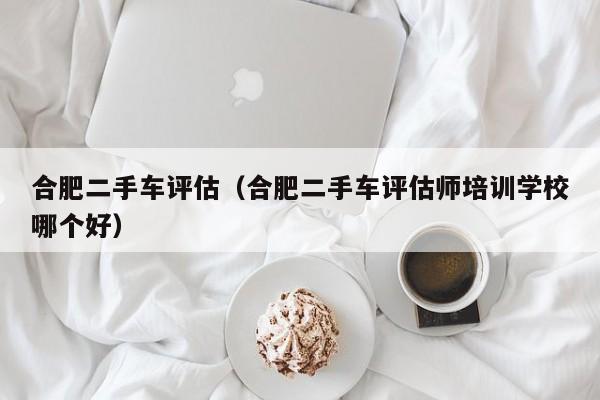 合肥二手车评估（合肥二手车评估师培训学校哪个好）