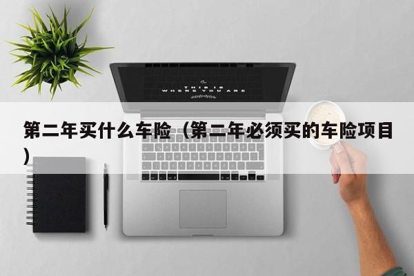第二年买什么车险（第二年必须买的车险项目）