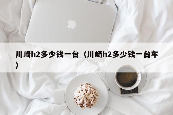 川崎h2多少钱一台（川崎h2多少钱一台车）