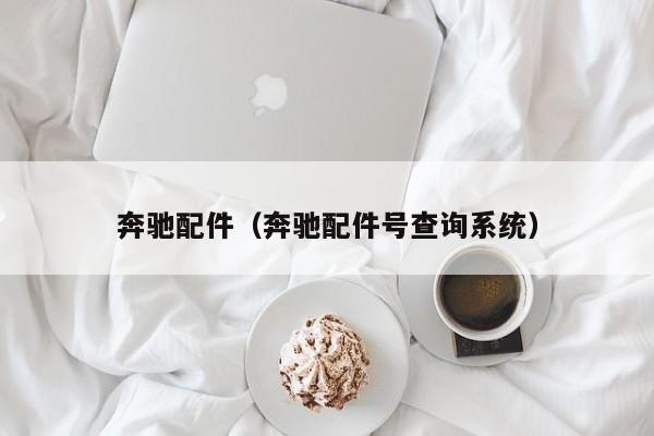 奔驰配件（奔驰配件号查询系统）