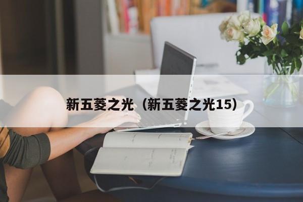 新五菱之光（新五菱之光15）