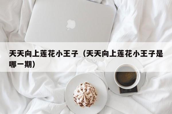 天天向上莲花小王子（天天向上莲花小王子是哪一期）