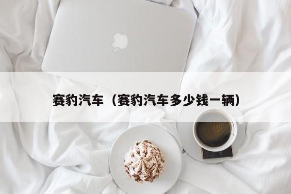 赛豹汽车（赛豹汽车多少钱一辆）