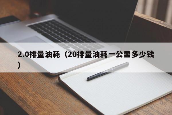 2.0排量油耗（20排量油耗一公里多少钱）