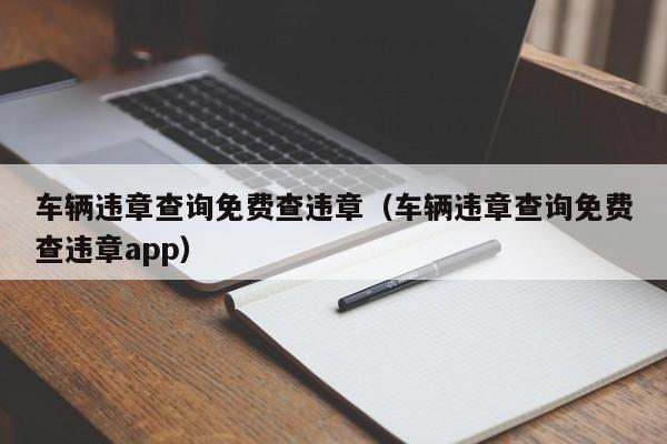车辆违章查询免费查违章（车辆违章查询免费查违章app）