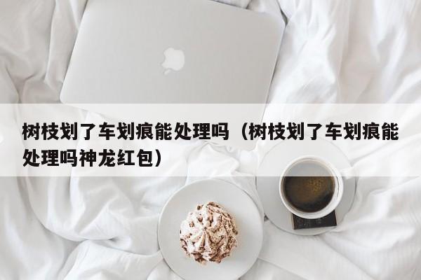 树枝划了车划痕能处理吗（树枝划了车划痕能处理吗神龙红包）