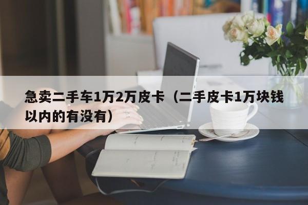 急卖二手车1万2万皮卡（二手皮卡1万块钱以内的有没有）