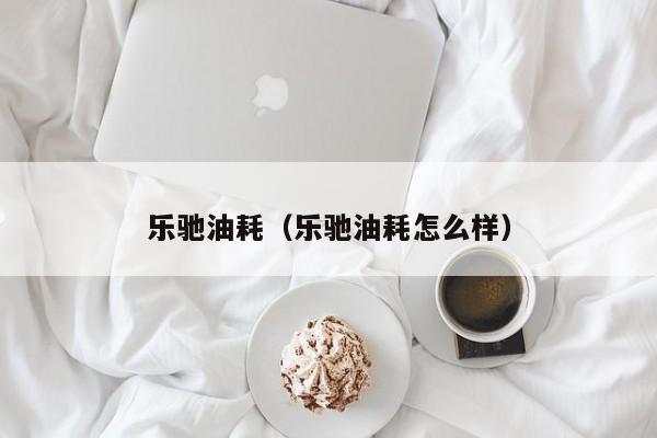 乐驰油耗（乐驰油耗怎么样）